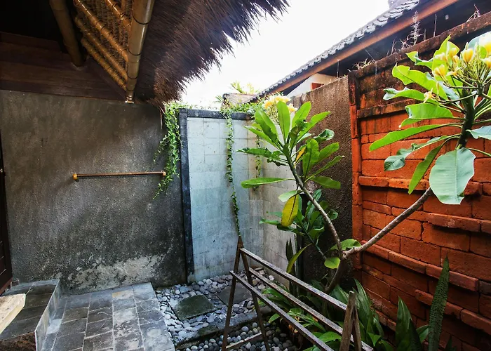Ts Hut